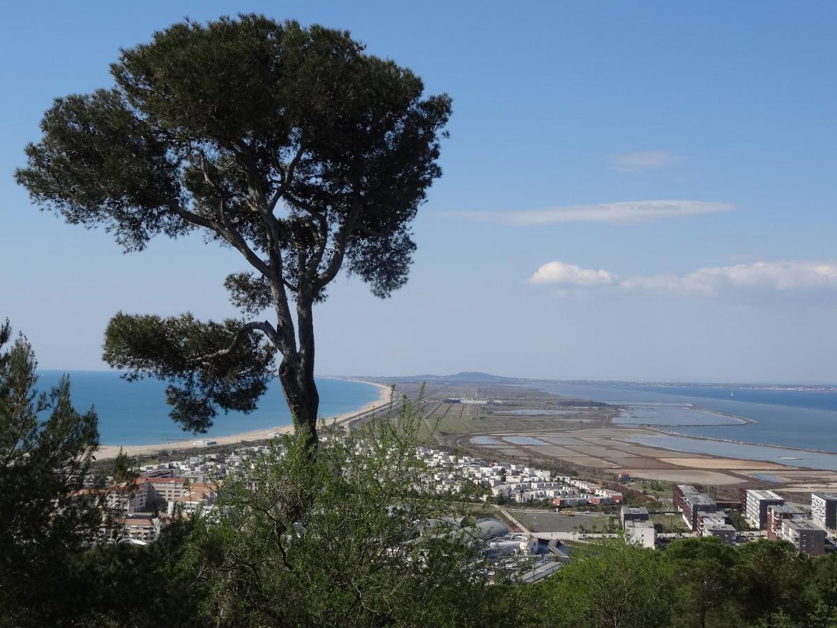 L'Estanque L'Etang Des Vacances Villa Sète Eksteriør bilde