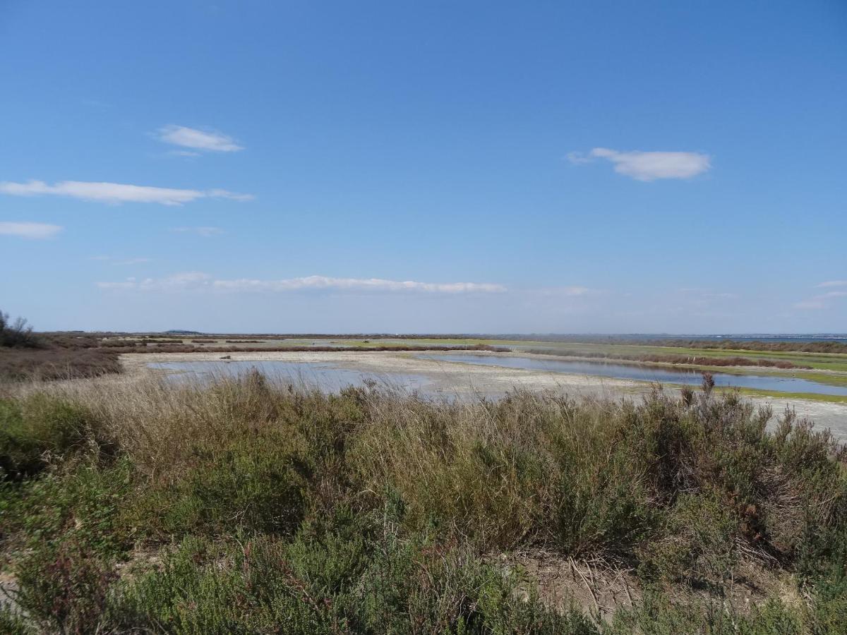 L'Estanque L'Etang Des Vacances Villa Sète Eksteriør bilde