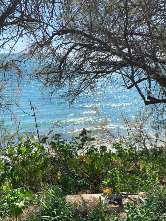 L'Estanque L'Etang Des Vacances Villa Sète Eksteriør bilde